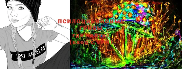 a pvp Алексин