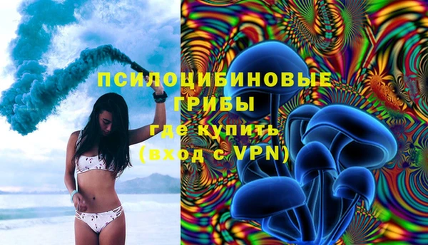 a pvp Алексин
