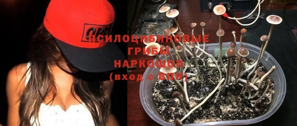 a pvp Алексин