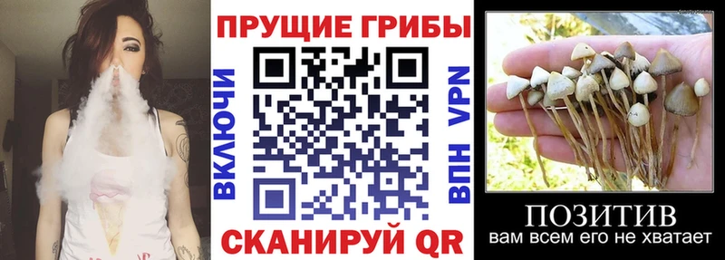 Галлюциногенные грибы Cubensis  Нытва 